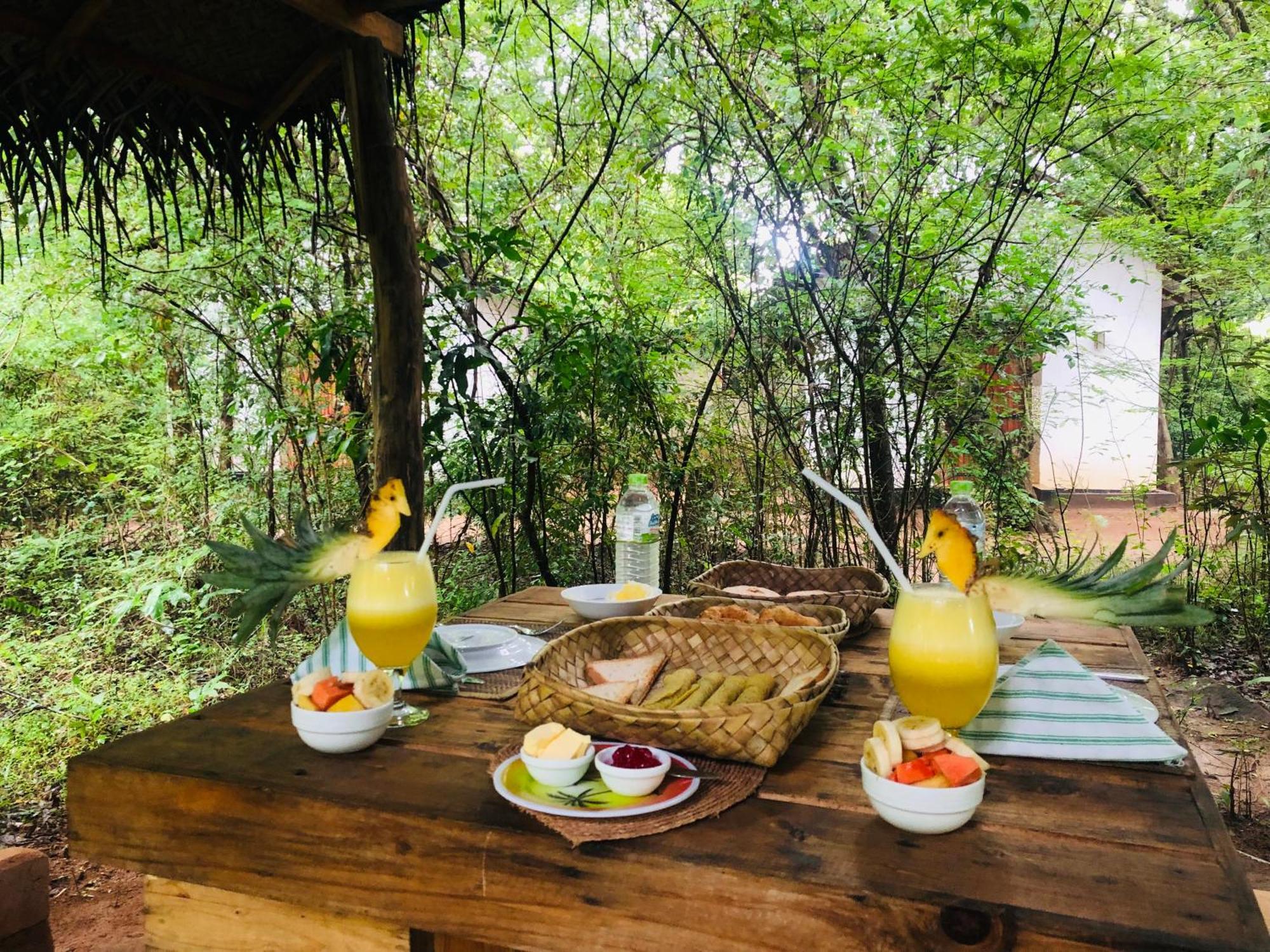 Bed and Breakfast Grand Freedom Sigiriya Exterior foto