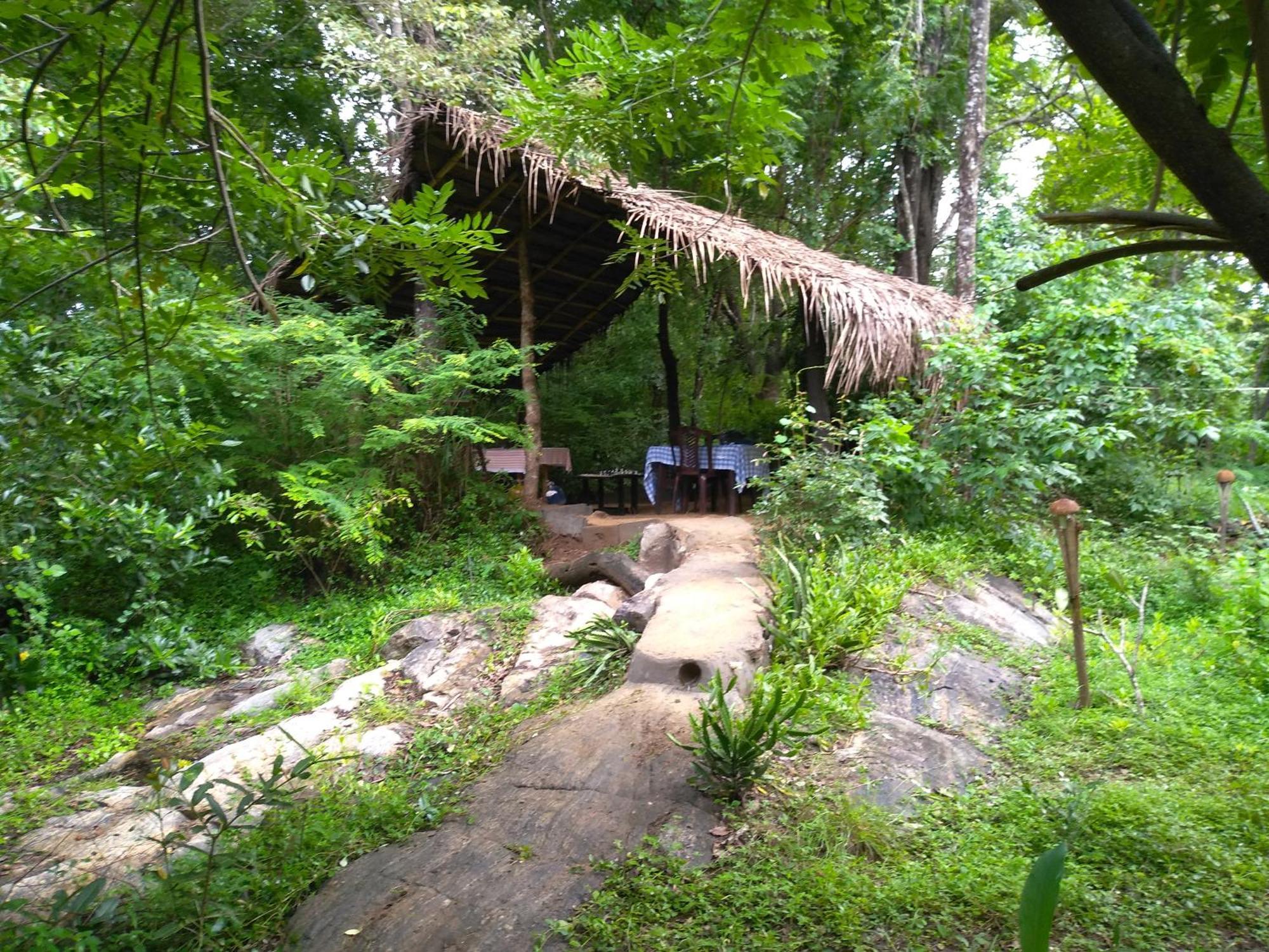 Bed and Breakfast Grand Freedom Sigiriya Habitación foto
