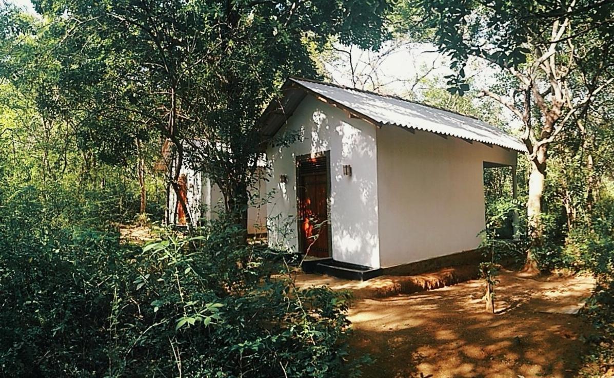 Bed and Breakfast Grand Freedom Sigiriya Exterior foto